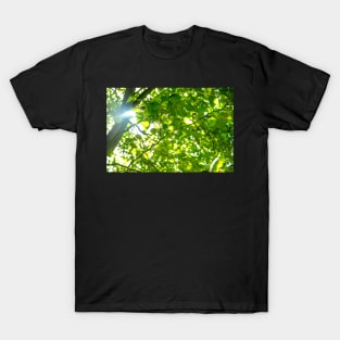 Sunlight through the leaves T-Shirt